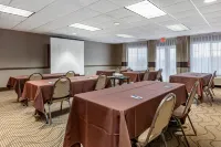 Comfort Inn & Suites Geneva- West Chicago