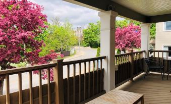 Acacia Bed and Breakfast - Housity