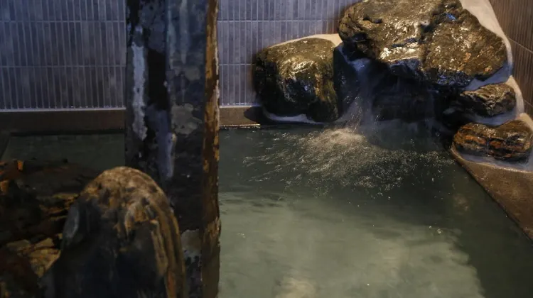 天然温泉 南部の湯 ドーミーイン本八戸 施設