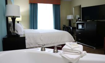 Hampton Inn Austin/Oak Hill