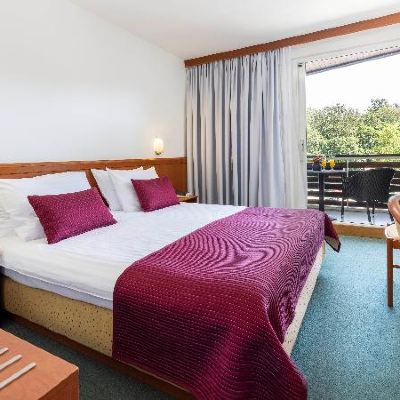 Standard Double Room - Park Side Hotel Jezero Promo Code