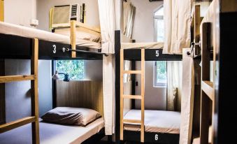 Bunks Hostel