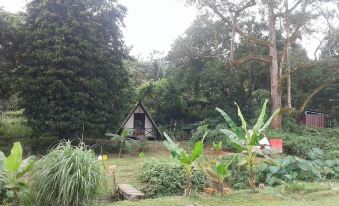 The Forest Cabin Taiping