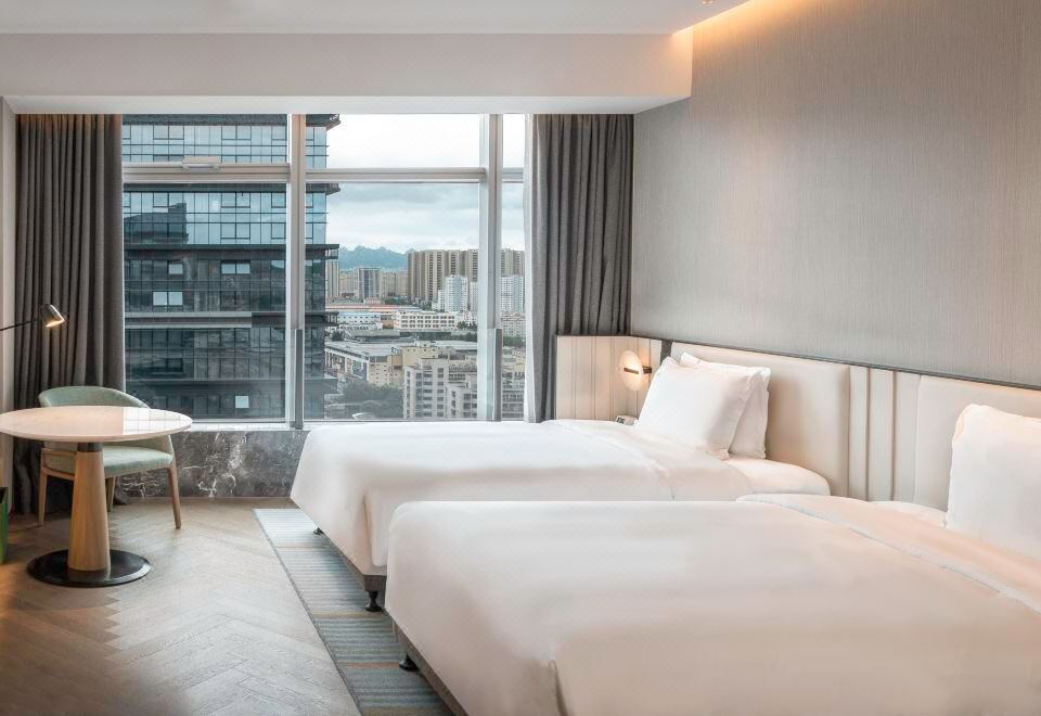 高级房双床城市景观