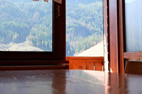 一卧室景观公寓