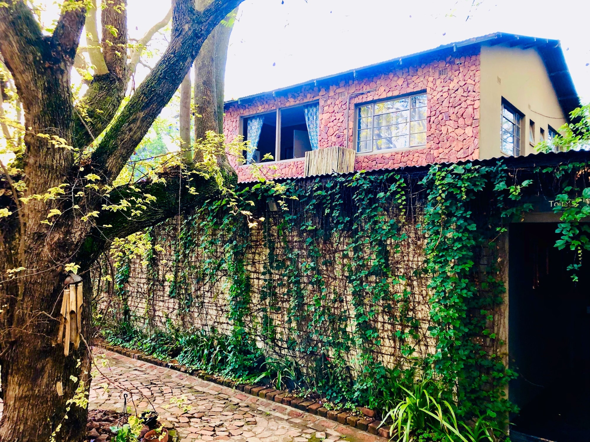 行政套房， 2 间卧室， 连通房， 庭院景观