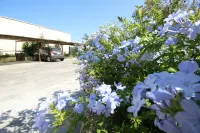 Villa B&B Antiche Macine del Salento - Nel Cuore del Salento