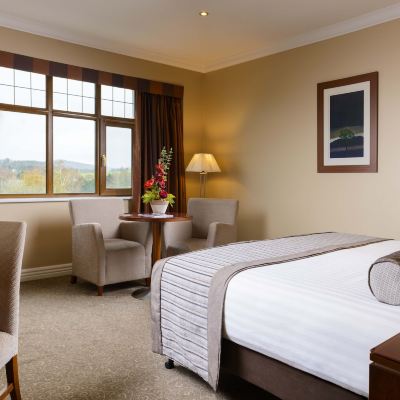 Deluxe Double Room The Brehon Promo Code