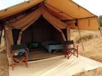 Koki Lodge Hoteles en Central