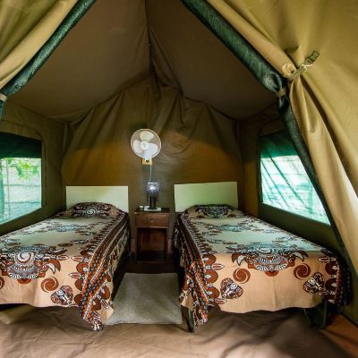 Standard Tent with Shared Bathroom