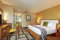 Embassy Suites by Hilton Houston Downtown Отели в г. 