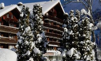 a large wooden building with snow - covered exterior , surrounded by green trees and clear blue skies at Hotel Residence
