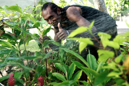 别墅（带独立泳池）