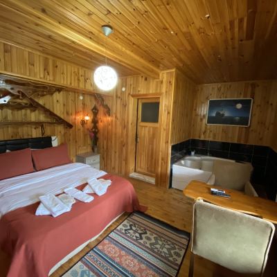 Deluxe Double Room Agva Green River Otel Promo Code