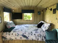 The Peacock Shepherds Hut at Hafoty Boeth