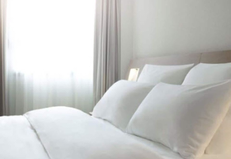 Ibis Juiz de ForaStandard Apartment-2 Single Beds