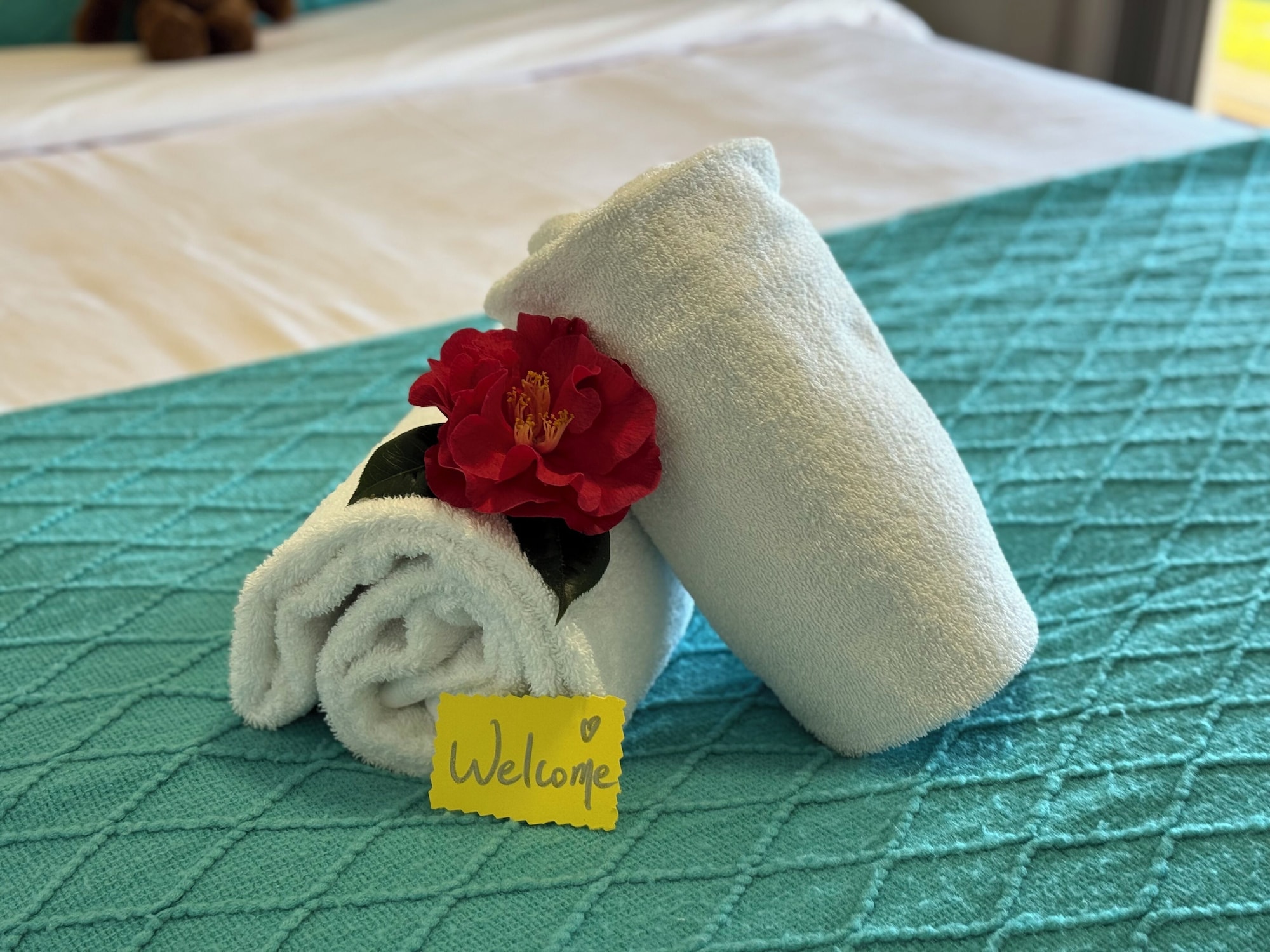 小屋，山脉景观，底楼