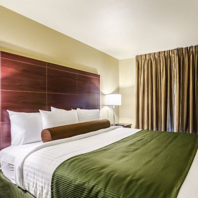 Suite, Multiple Beds, Accessible, Non Smoking Cobblestone Inn & Suites - ORD Promo Code