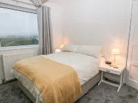 크랜베리
