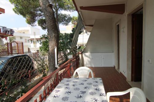 两卧室房子-底楼