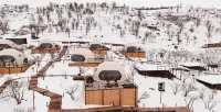 EcoHouse Glamping by ART HOTEL Hotels in 