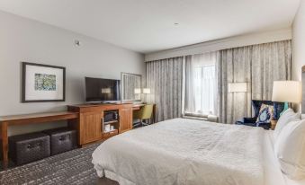 Hampton Inn & Suites Dallas/Ft. Worth Airport South