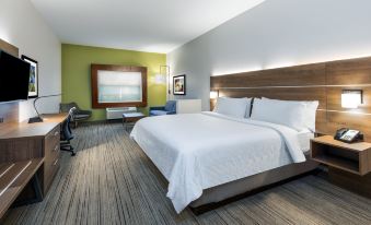 Holiday Inn Express & Suites Ozona
