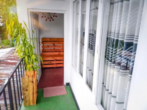 带山景的双人间