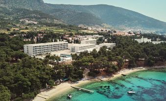 aerial view of a large white hotel surrounded by trees and mountains , with a body of water in the foreground at Bluesun Hotel Elaphusa