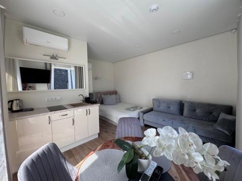 带露台一室公寓