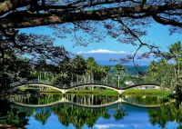 冒納羅亞海濱公寓 Kai Ekahi #201 卡爾史密斯海灘公園 海景民宿