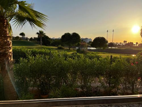 享有花园景致的公寓