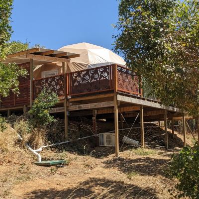 Luxury Tent Maple Park Promo Code