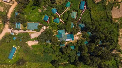 Gorilla Safari Lodge Hoteles en 