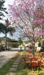 Nômades Vibe da Ilha - Adventure Hostels & Coworking Hoteles en 
