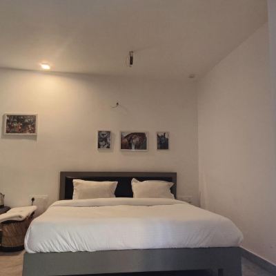 Bunk Bed Room With Private Bathroom The Jungle Pool Promo Code