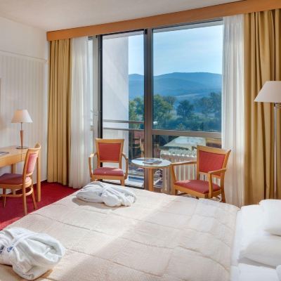 Superior Room (Alameda Wing) Ensana Esplanade Promo Code