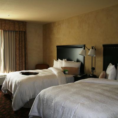 Two Queen Room with City Skylineview Hampton Inn & Suites Dallas-Arlington North-Entertainment District Promo Code