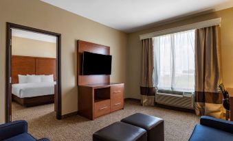 Comfort Suites Near Texas Medical Center - NRG Stadium