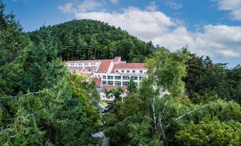 Hotel Spa Husseren Collections - Proche Colmar - Eguisheim