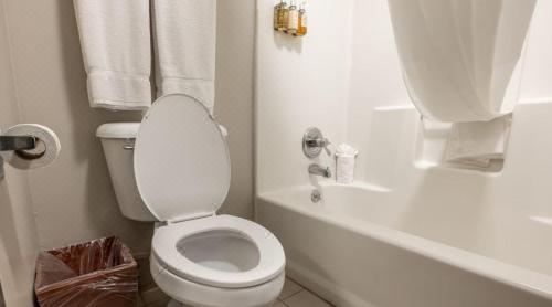 双人房（禁烟）