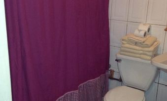 a bathroom with a purple shower curtain , towels neatly folded on the floor , and a toilet at Hotel Miramar