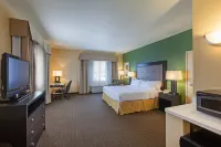 홀리데이 인 익스프레스 & 스위트 이글 패스 바이 IHG