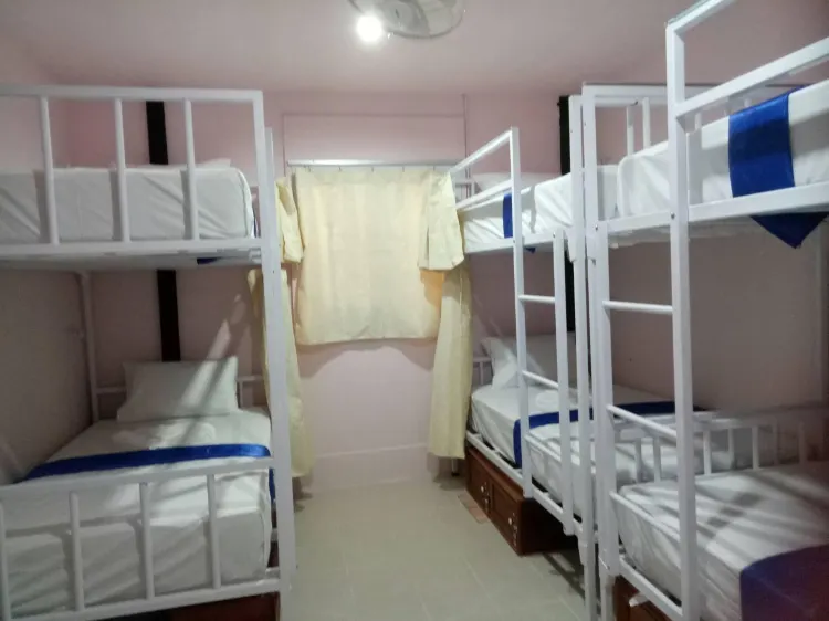 Hostel-Bunk Bed In Mixed Dormitory Room