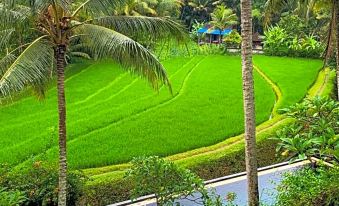 Umasari Rice Terrace Villa