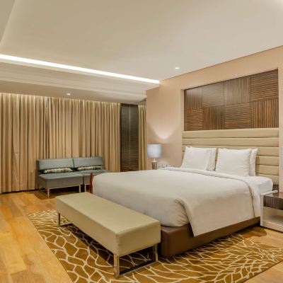 Business Class Room Radisson Udaipur Promo Code