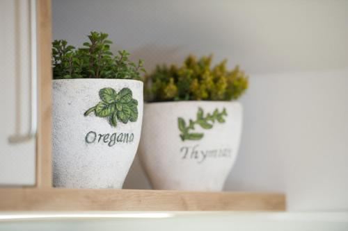 高级三卧室公寓