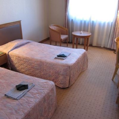 スタンダードツインルーム(禁煙) ビューホテルズ　ホテルプラザ菜の花 クーポン