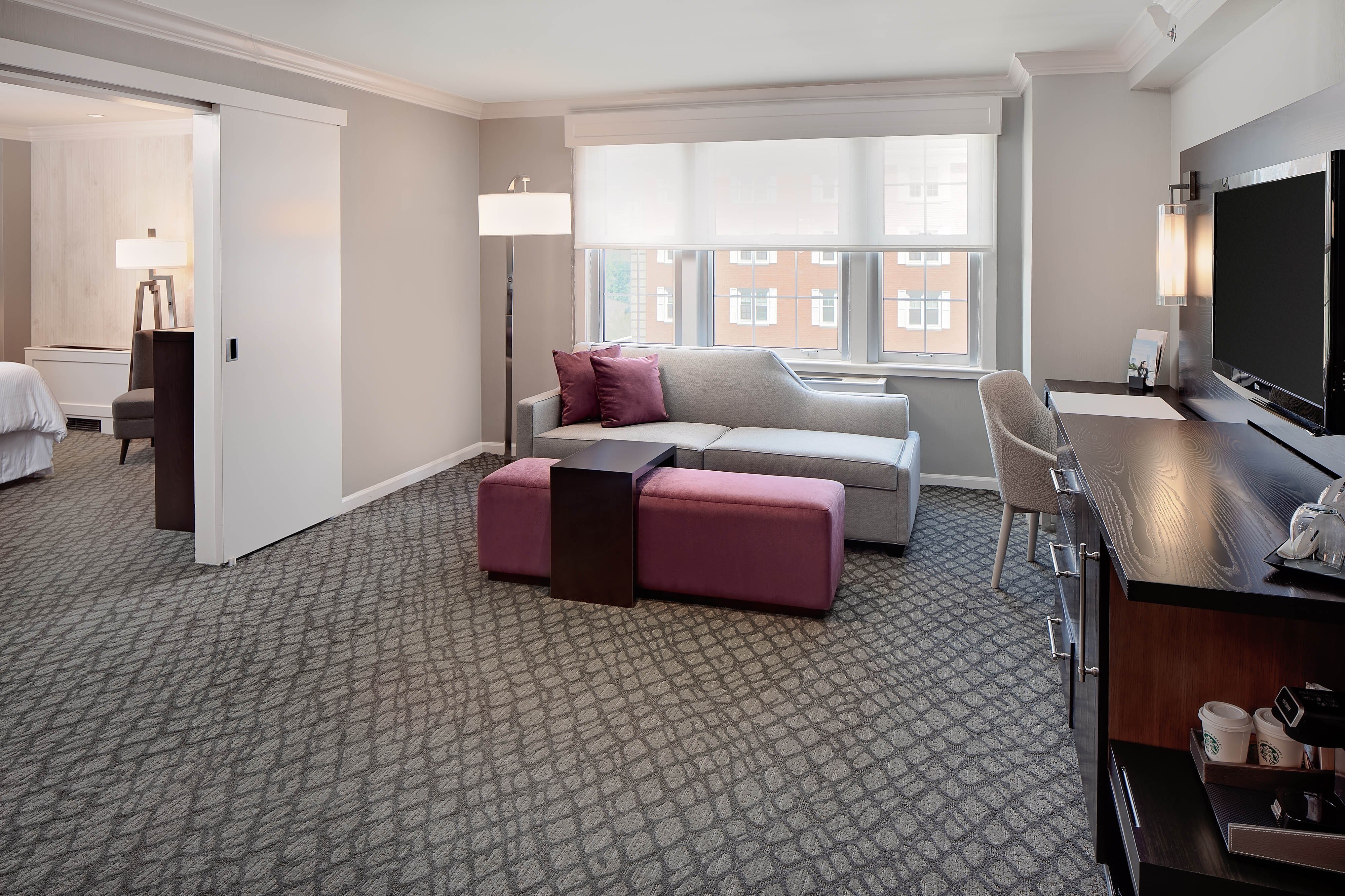 总统单卧室特大床套房带梳化床