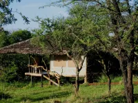Mbalageti Serengeti Hotels in 